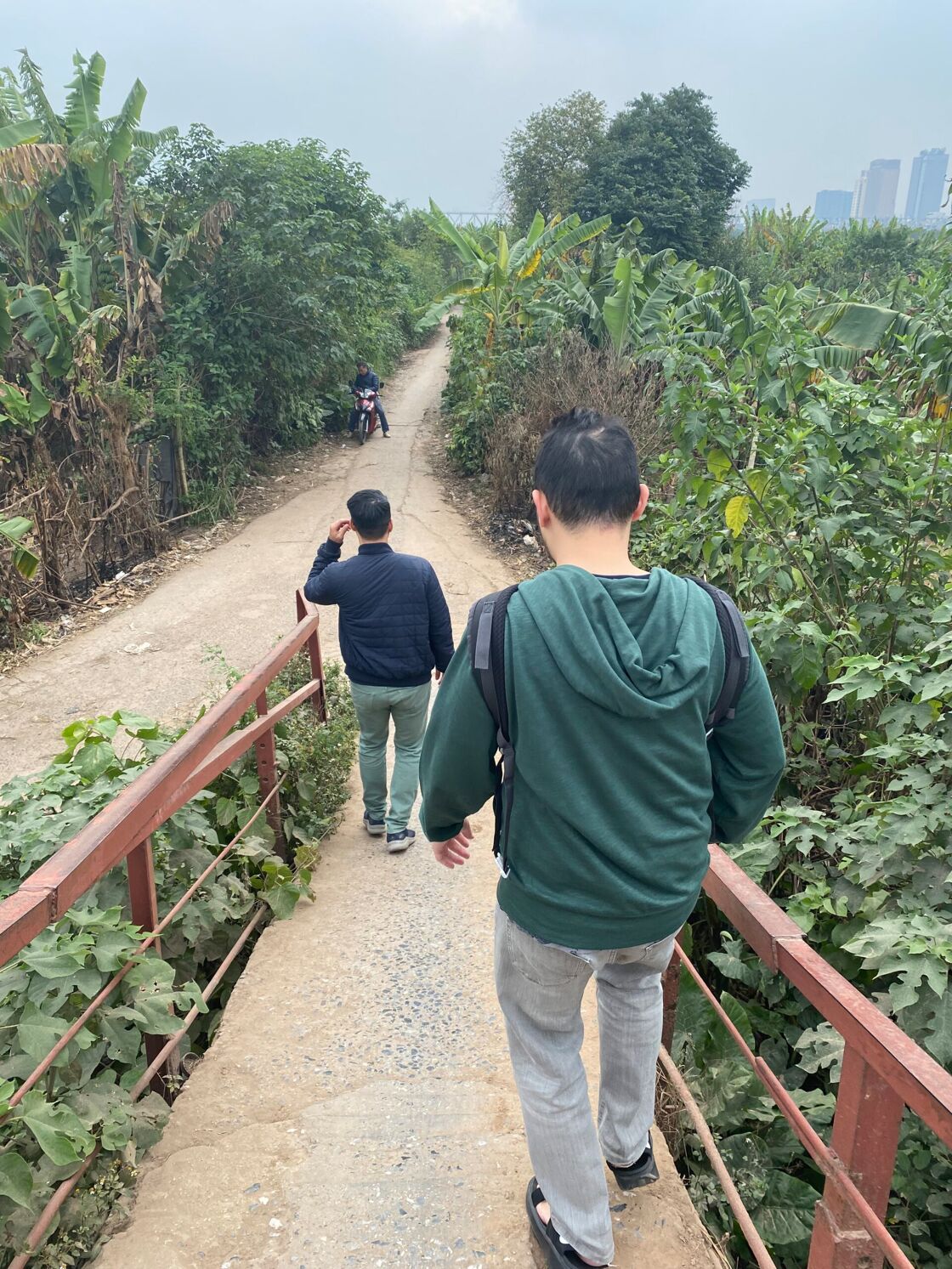Men walking down a path into a banana farm with city skyscrapers in the distance.