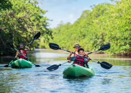 6 adventurous ways to explore Florida's largest theme park