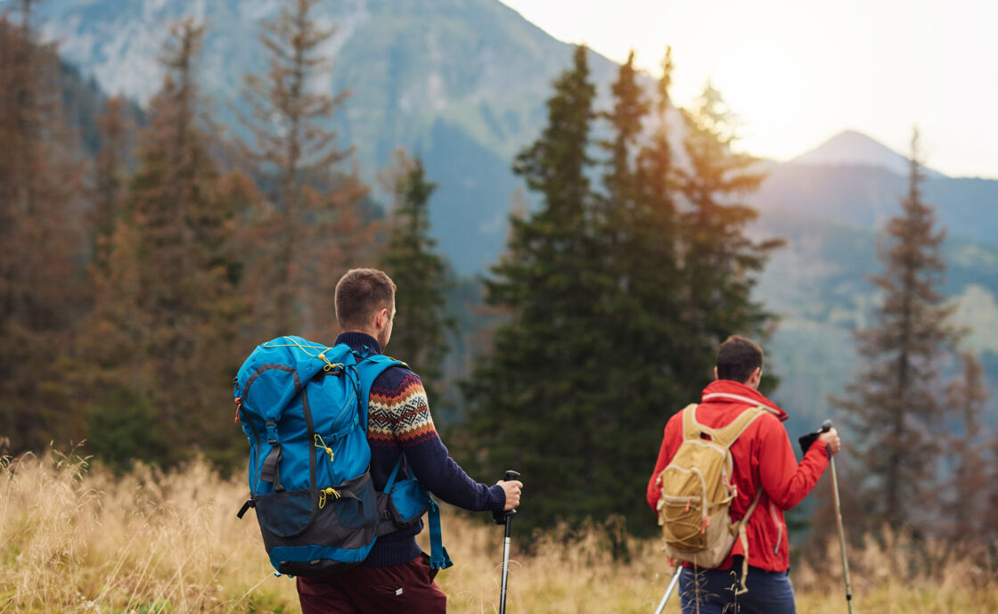 Two men with backpacks, hiking poles, and sweaters descend into the forest at daybreak.