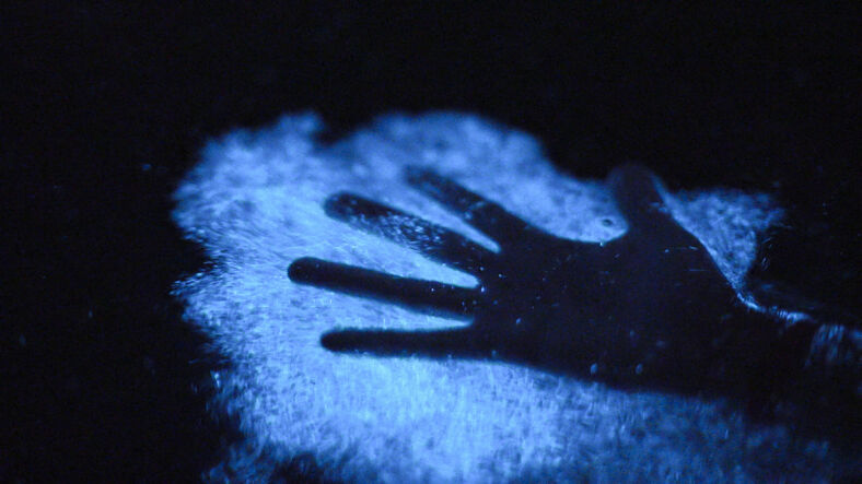 A hand submerged in bioluminescent waters.