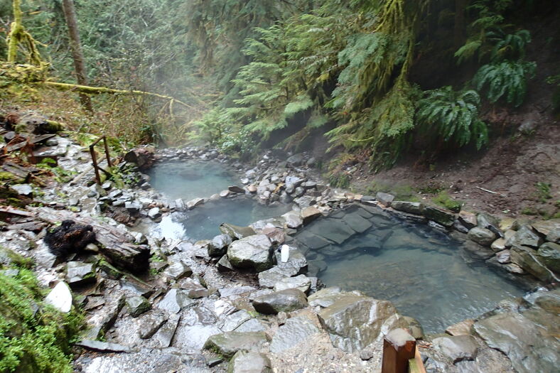 Cascading pools in a small lush gorge make Cougar Hot Springs an inviting prospect.