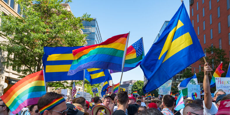 A crowd holding HRC and Pride flags.