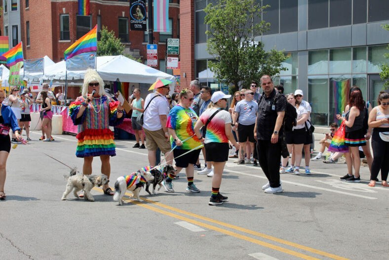 Pride Fest Chicago 2023 attendees
