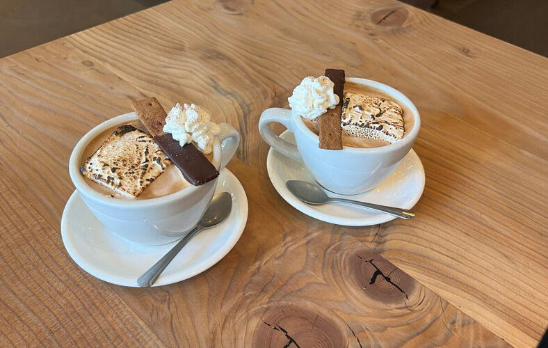 Two gorgeous cups of hot chocolate covered in roasted marshmallow