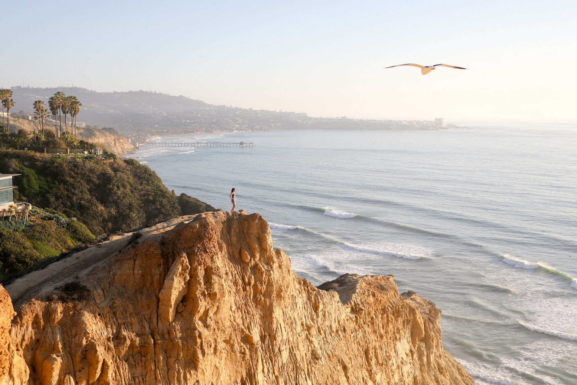 10 unique things to do in San Diego for every kind of traveler - Vimarsana News