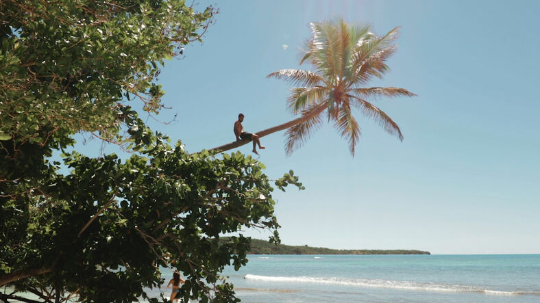 A man sits in a palm tree on the beach.