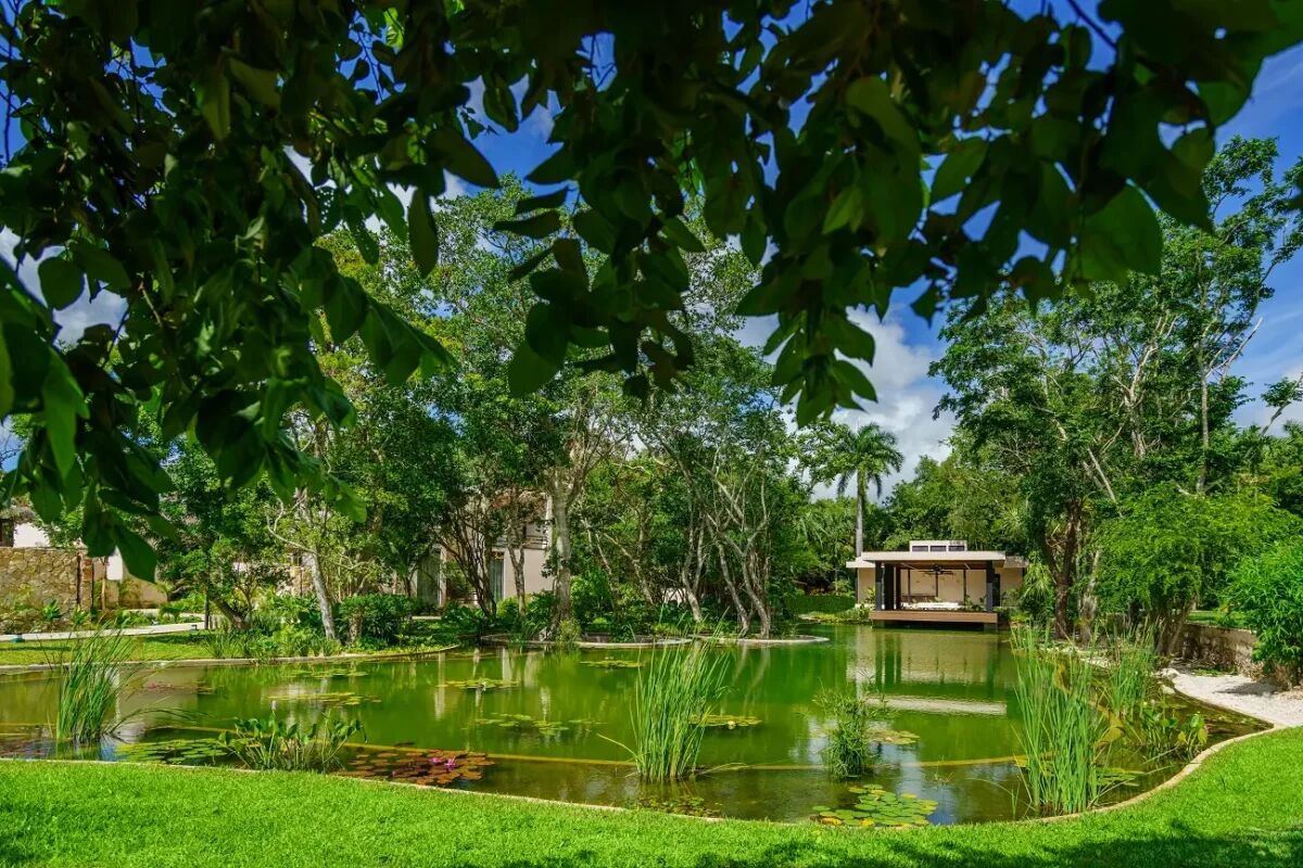 Tranquil tropical garden and spa center