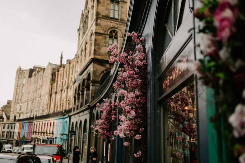 Pink flowers grow on the side of a building in Scotland.