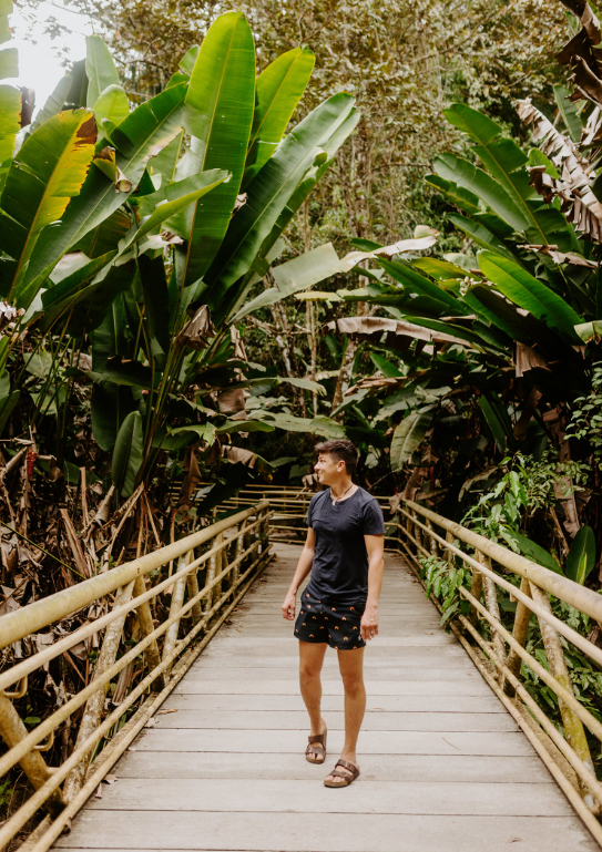 Man on a bridge in a jungle