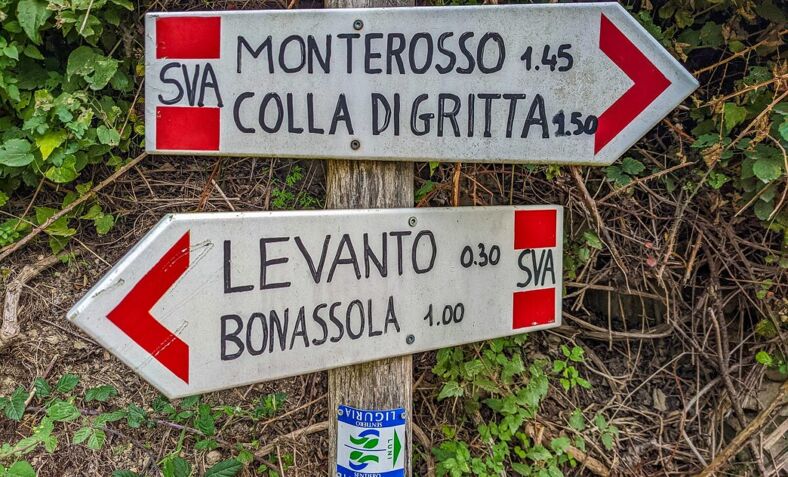 Two hiking trail signs pointing in opposite directions.