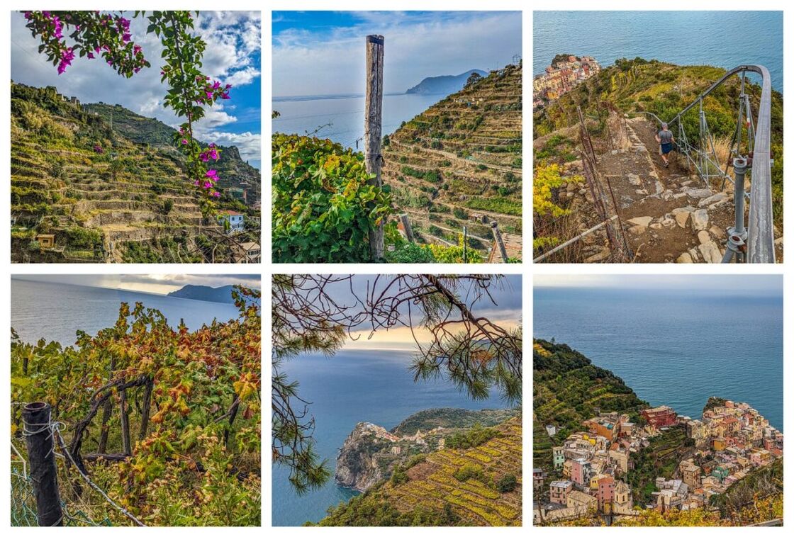 Multiple views of the Cinque Terre terraces dating back to the Middle Ages.