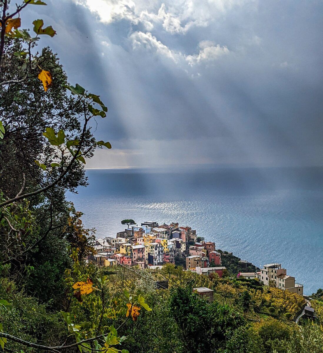 A view of the village of Corniglia in Italy’s Cinque Terre from a distance. The photographer is on the side of a mountain and the sea is behind the village.