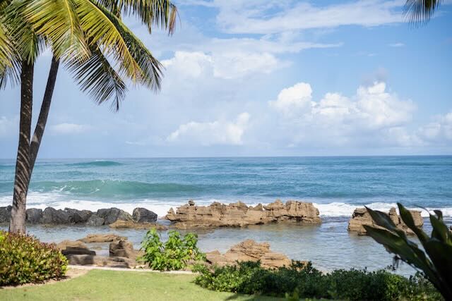 The Atlantic Ocean stretches to the horizon with a shallower pool protected by large rocks in the foreground. A palm tree is on the left side.
