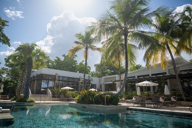 A view of one of the pools at Dorado Beach. A palm tree stretches out over it and others line the edges. Even space and a restaurant surround it.