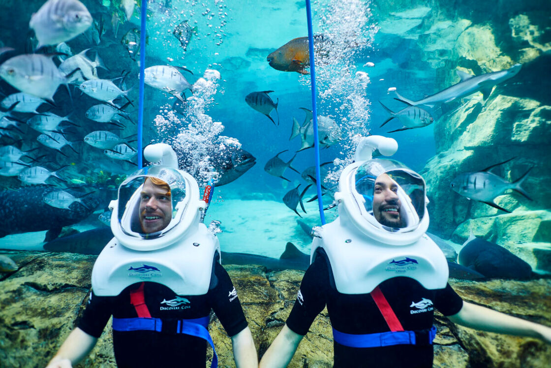 Men Underwater at Discovery Cove Snuba