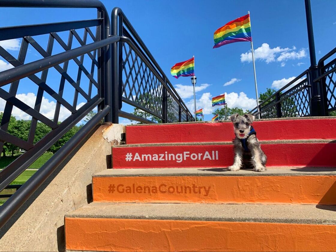 Orange and red steps lead up to a walkway lined with Pride flags. An adorable dog sits on the steps.