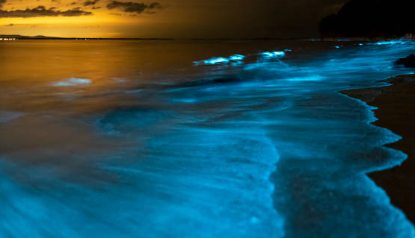 Stunning bio-luminescent water at sunset. Photo via Istock