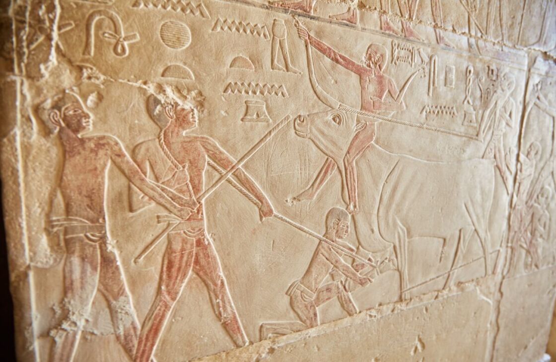 Iconography from Niankhkhnum and Khnumhotep's tomb portraying them hunting.