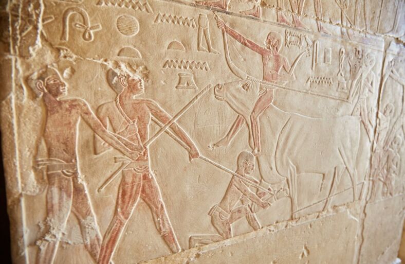 Iconography from Niankhkhnum and Khnumhotep's tomb portraying them hunting. 