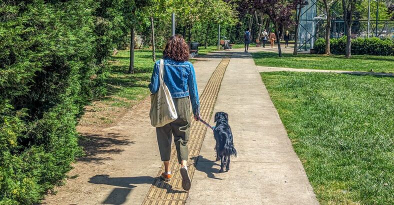 A woman walks a dog in the park