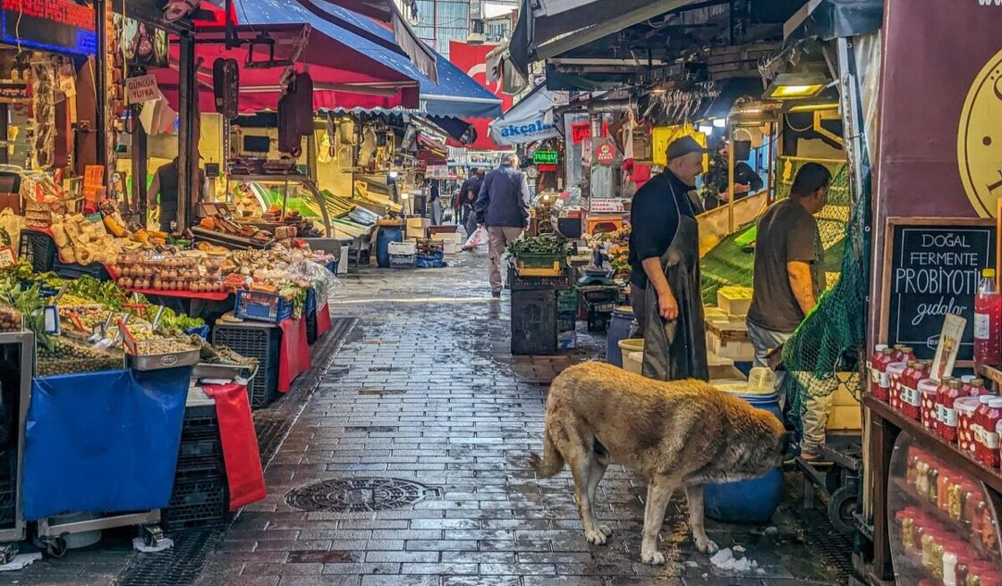 A dog wandering down one of the cobbestoned streets of the market; all around him are shops selling fruits, vegetables, cheese, and more. Two men and a dog stand on a cobblestone street in Kadıköy Fish Market