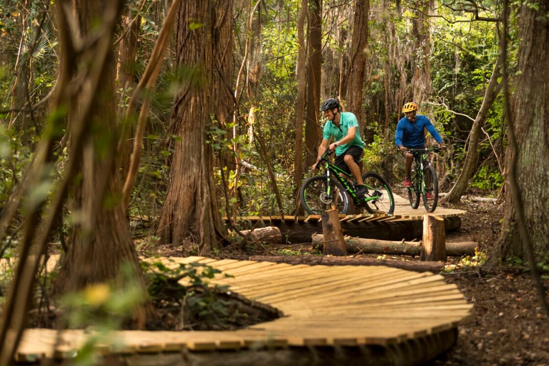 Two men riding bikes on a wooden path through a forest