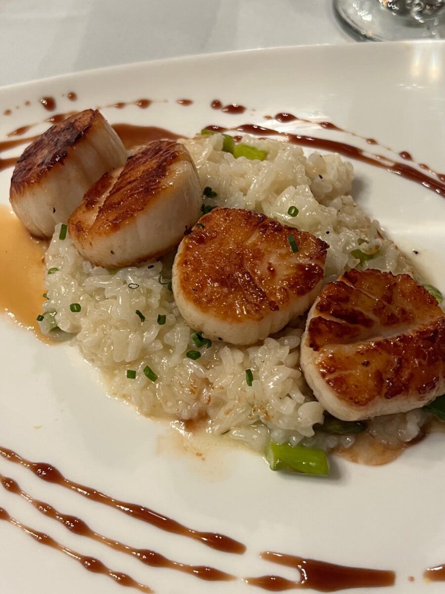 Four scallops on a bed of risotto
