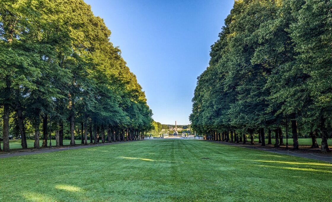 Grassy area of Frogner Park lined with trees and a beautiful sunset in the background. An open expanse at Vigeland Sculpture Park