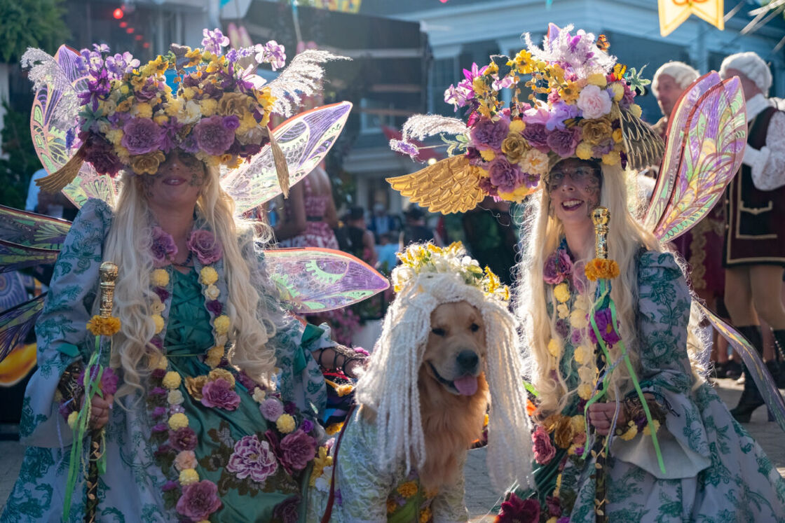 To fabulous fairies complete with wings and fairy crowns pose with a Golden Retriever in similar garb