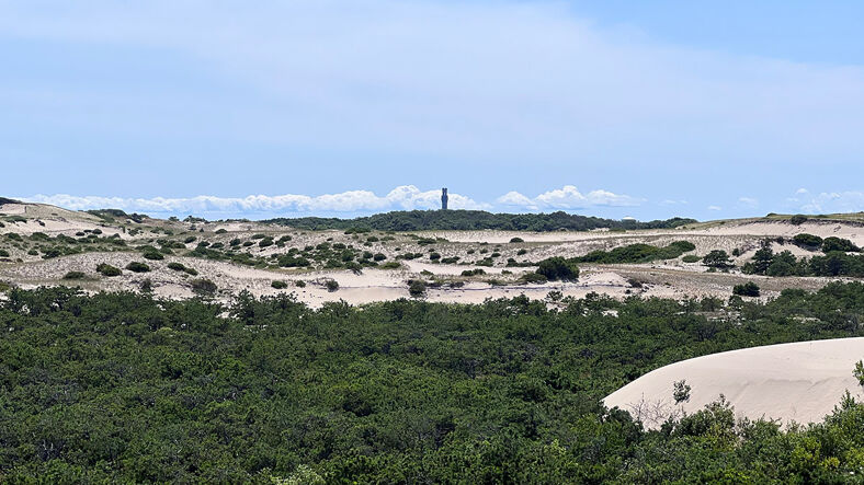 Sand dunes on Art's Dune Tours