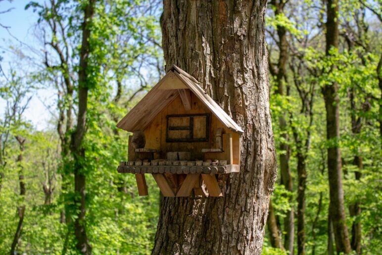 A house on a tree for the Hidden People