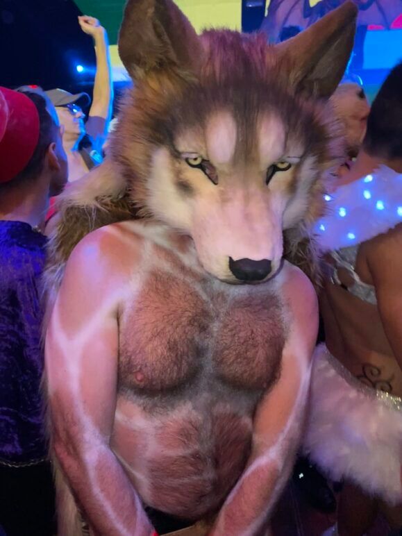 Wolf at Halloweenie