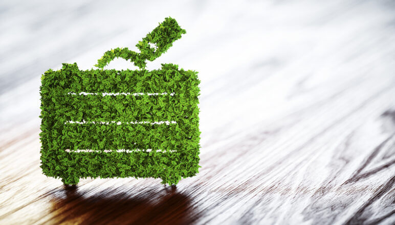 eco-travel concept of a suitcase made out of leaves