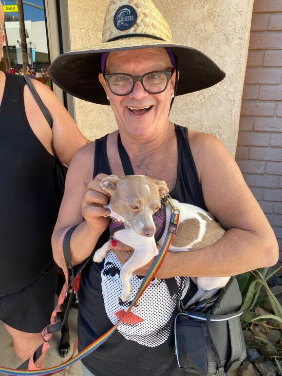Pride dog at Palm Springs Pride