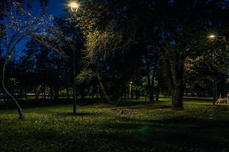 A dimly lit park at night, with scattered trees and illuminated by a few streetlights, casting shadows on the grassy ground.