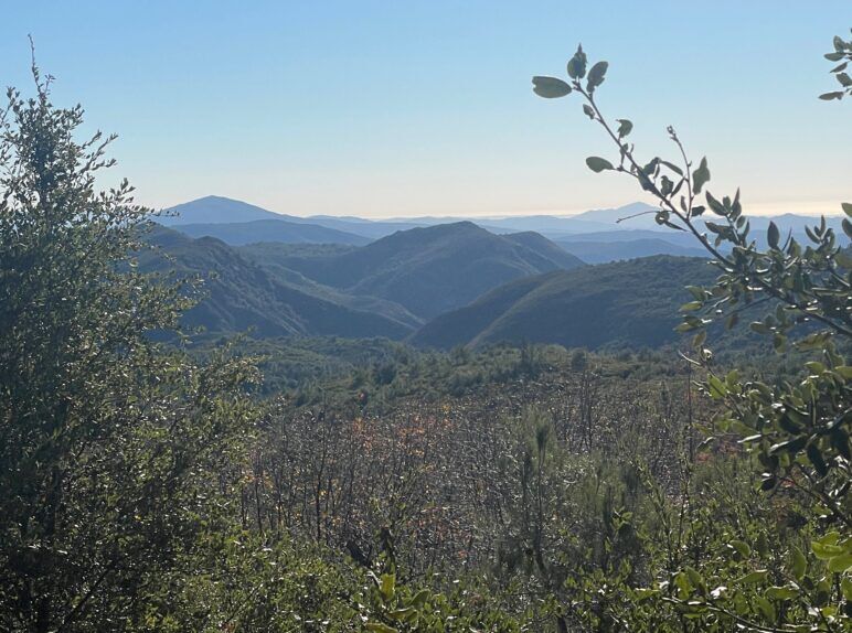 View of the mountains from Julian, California