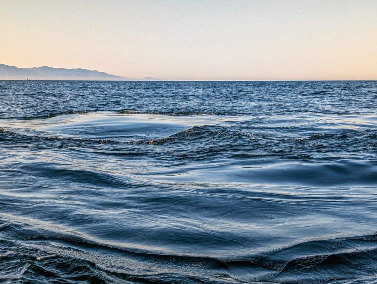 A glassy spot on the ocean shows were a whale has passed underneath