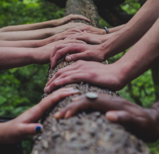 Several sets of hands rest on a log
