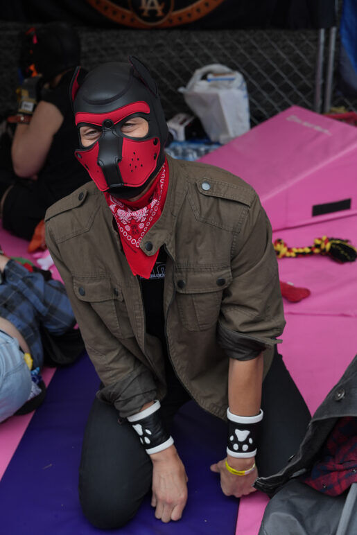 Pup at Off Sunset 2025