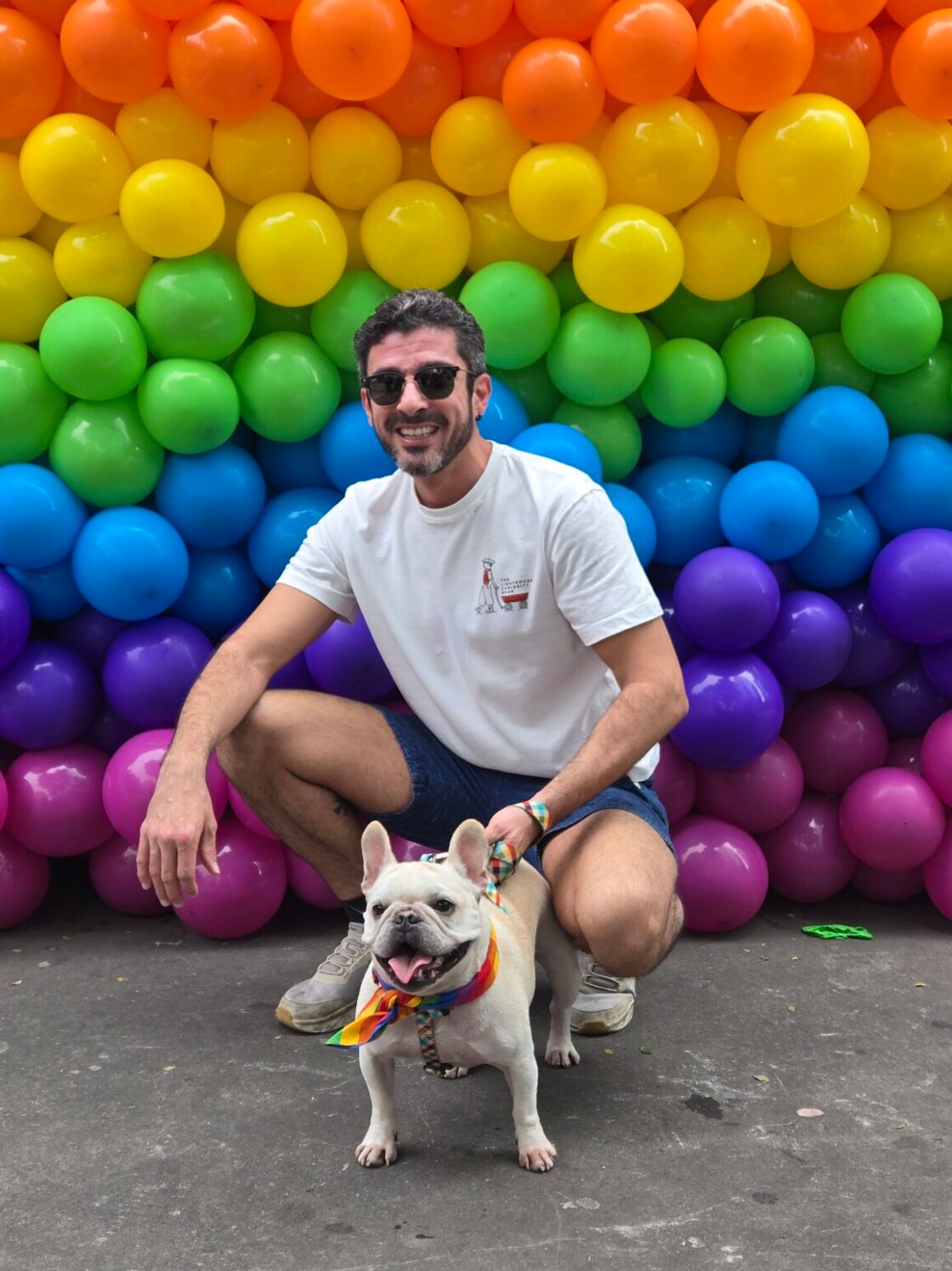 A man poses in front of rainbow colored balloons with his French bull dog. 