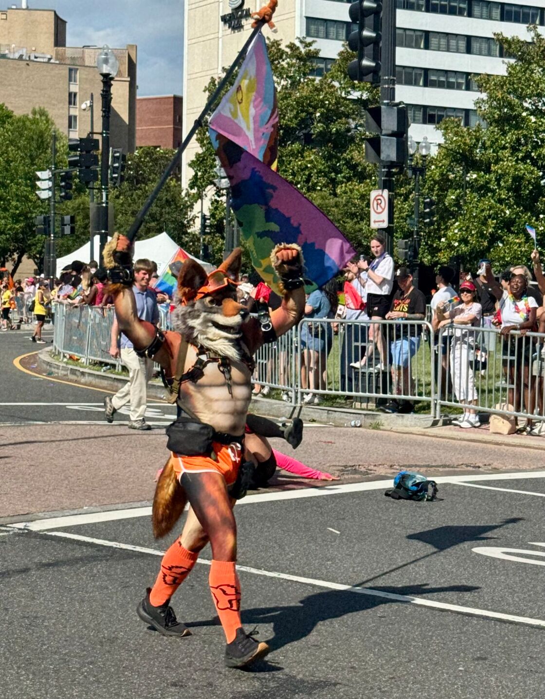 Furry proudly roaring through the parade.