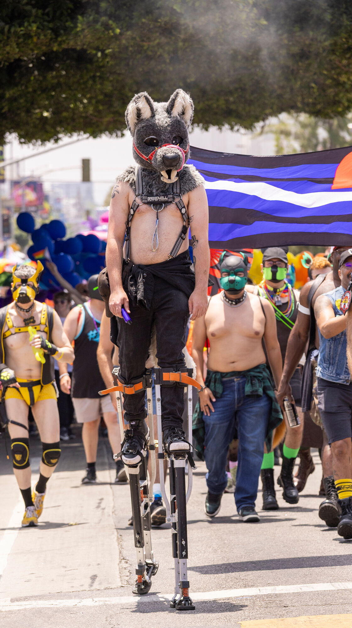 Man in a furry fetish mask