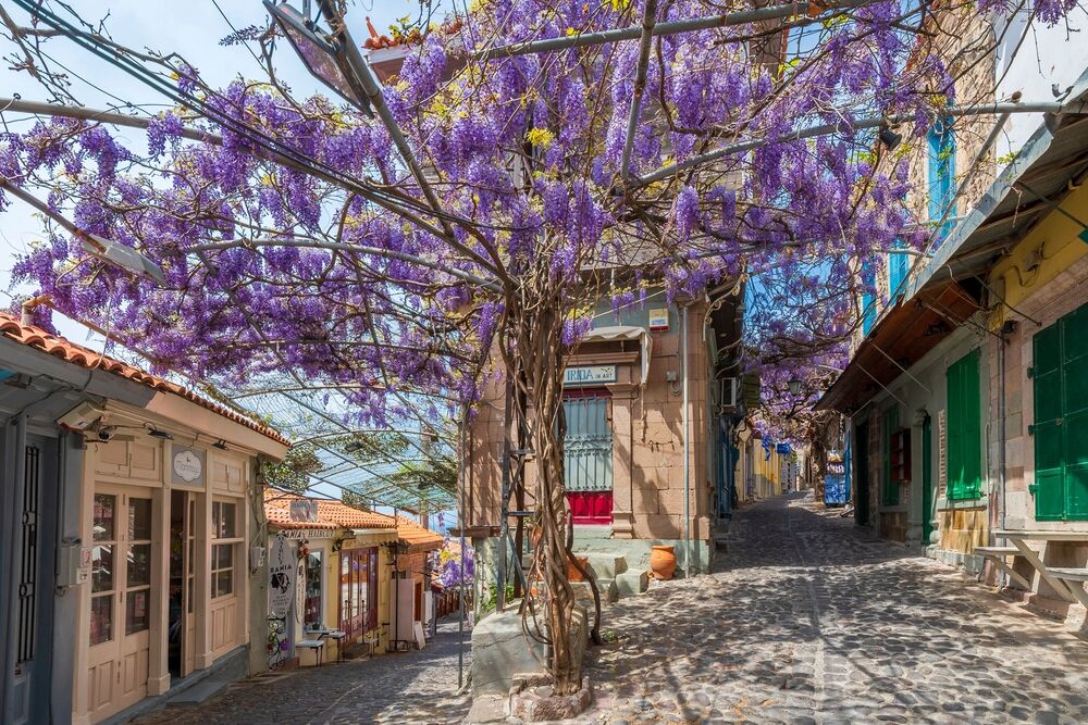 Lesvos, Greece - April 16, 2022 : Molyvos street in Lesvos Island of Greece