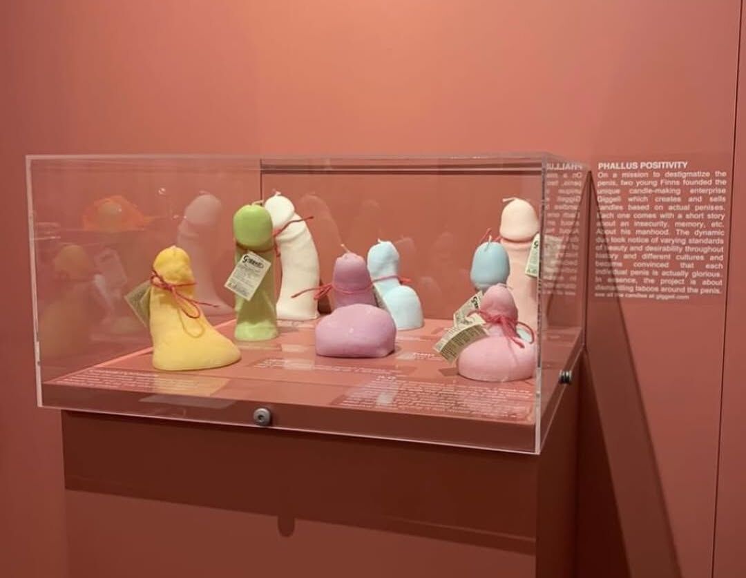 An exhibit at the Icelandic Phallological Museum, reading "Phallus positivity."