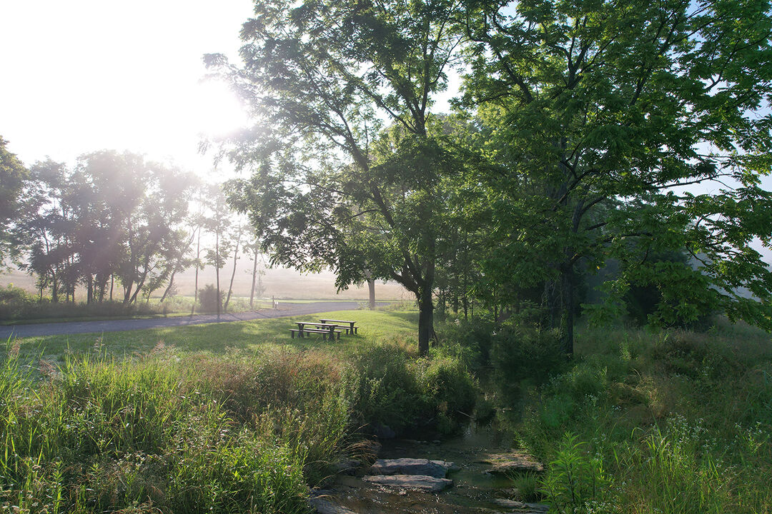 A creek and picnic table are pictured among lush greenery on the Blue Moon Campgrounds.