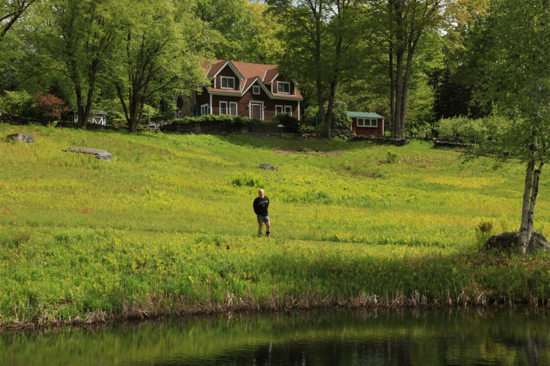 Frog Meadow