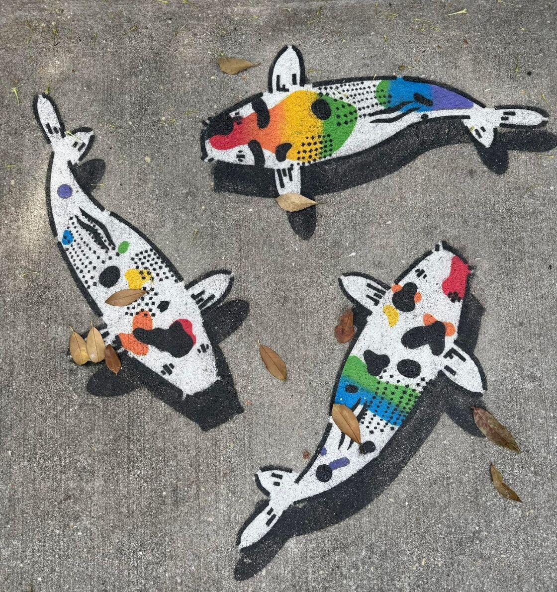 Jeremy Novy's koi carp