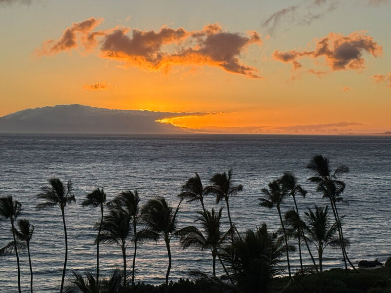 The sun sets over the water behind picturesque palm trees at the Andaz Maui. 
