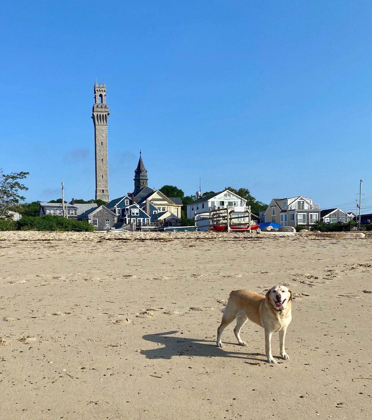 All the Provincetown theme weeks set to make a comeback in 2021