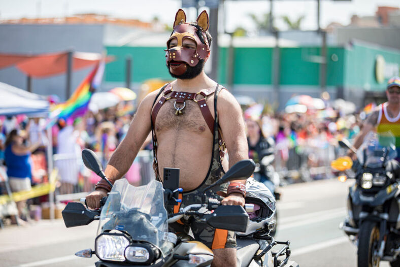 A puppy pal on a motorcycle makes his way down the parade route